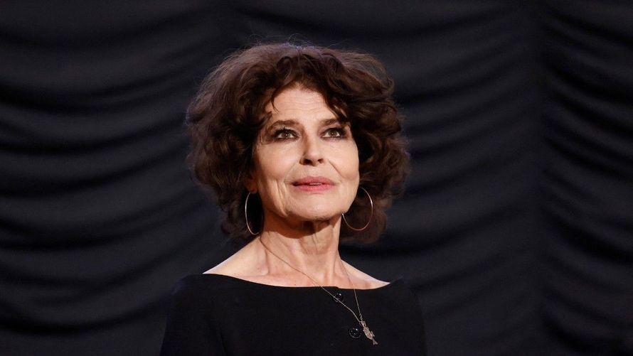 "Je n’ai pas eu d’émotion" : malaise sur le plateau de "Quotidien" lorsque Fanny Ardant évoque "Anatomie d’une Chute" de Justine Triet