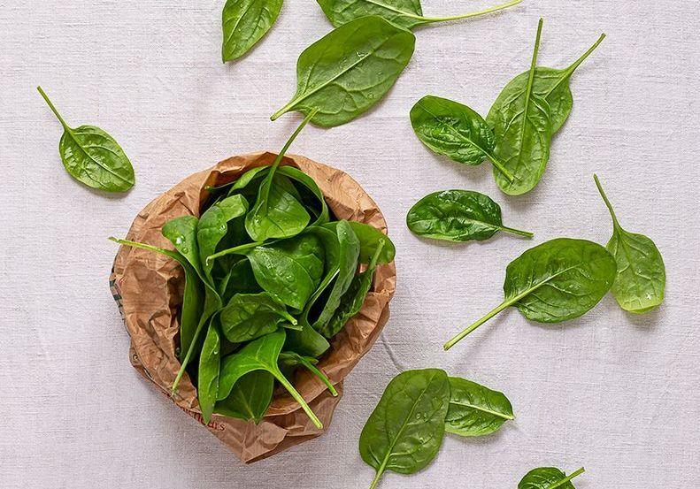 Les nombreux bienfaits de la chlorophylle