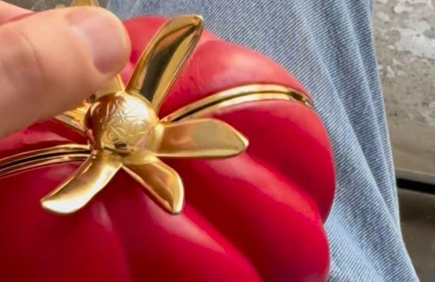 Quand un mème devient un sac tomate chez Loewe