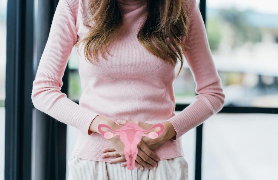 Cancer du col de l’utérus : ces inégalités qui persistent malgré une meilleure prévention