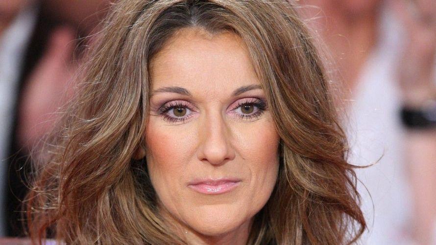 "Mon public n’aime pas", Céline Dion, le tacle de Michel Sardou plusieurs années après leur duo