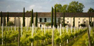 Le vin blanc du Château Clarke à Listrac-Médoc, histoire d’une renaissance