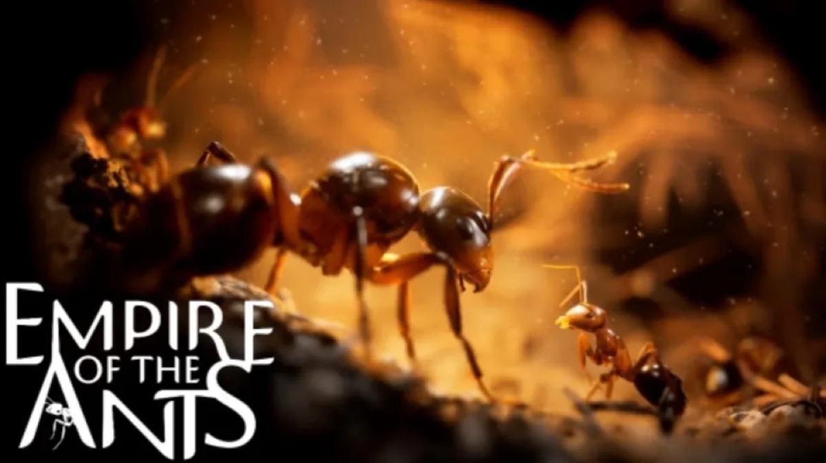 Empire of the Ants, le jeu de simulation qui va vous faire adorer les fourmis