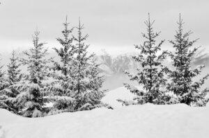 JO d’hiver 2030 dans les Alpes : les dernières fois en France, c’était quand ?