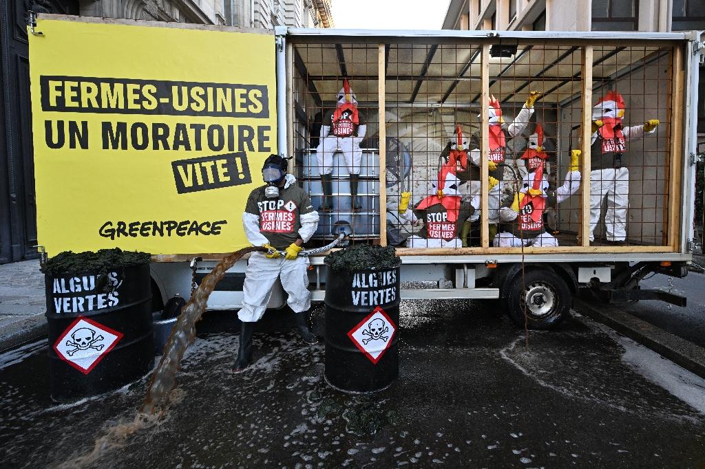 Contre les « fermes-usines », Greenpeace déverse du lisier devant le ministère de l’Agriculture