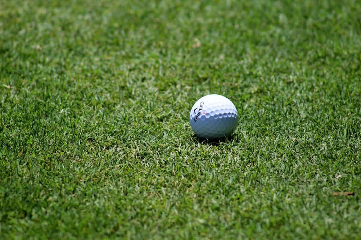 Saint Quentin en Yvelines : le Golf des JO saccagé par des militants écolos