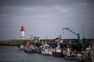 Les poissons d’Oman créent des remous à Lorient