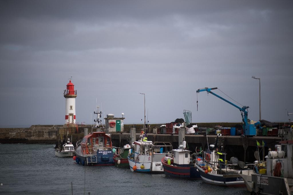 Les poissons d’Oman créent des remous à Lorient