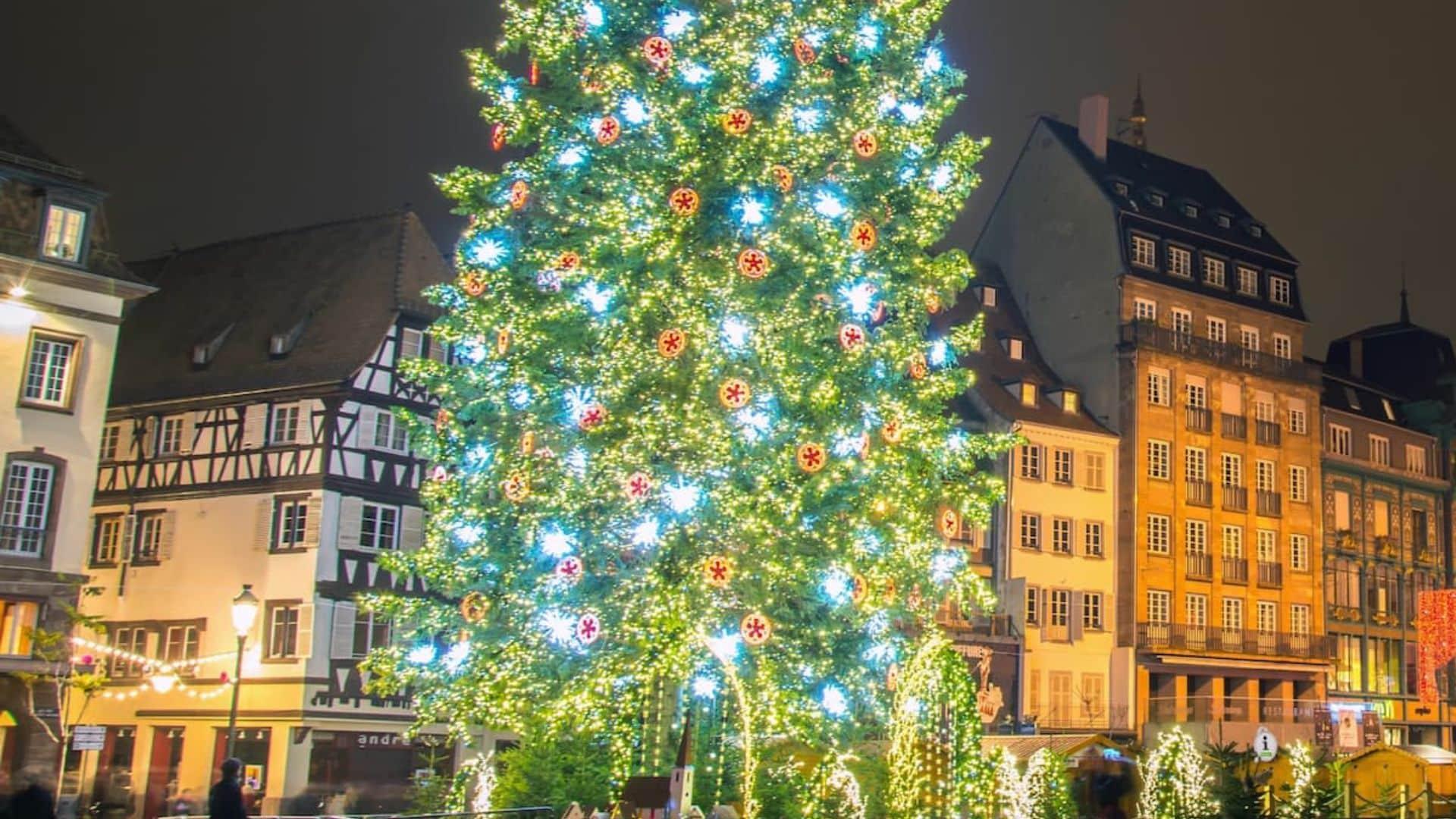 Belgique : le sapin géant du marché de Noël s’envole et tue une sexagénaire