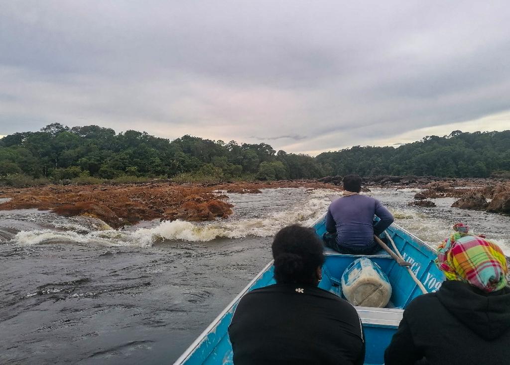 En Guyane française, la « pirogue du droit » au coeur de territoires oubliés