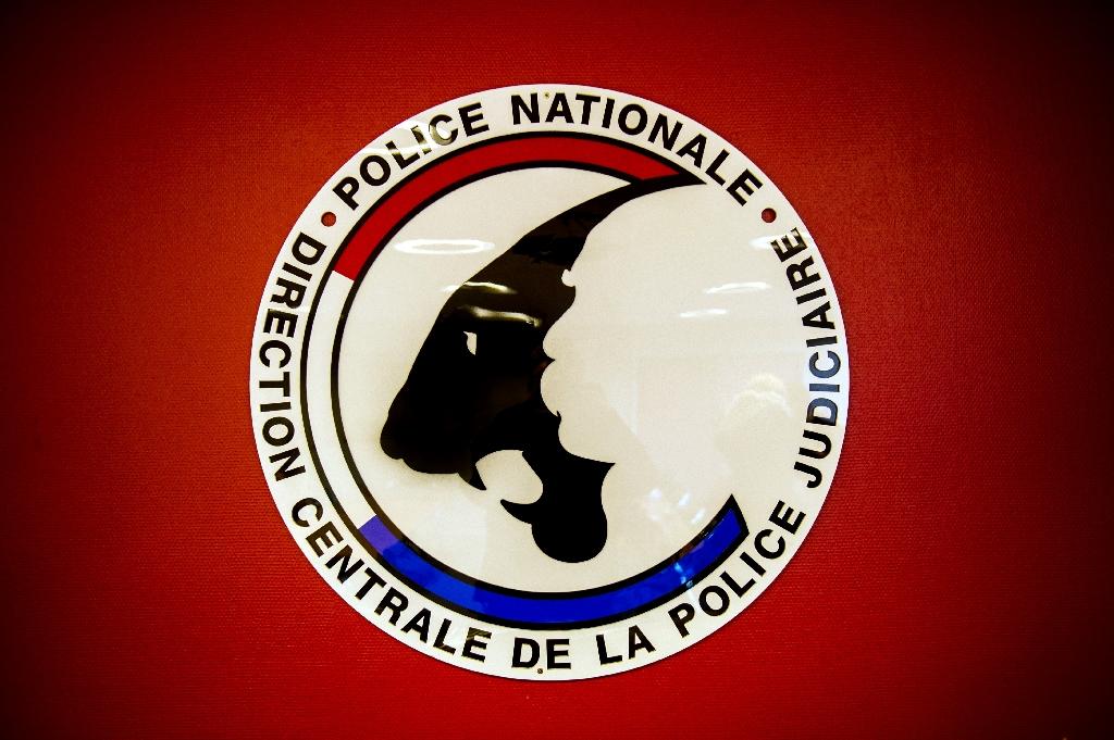 Vaste coup de filet anti-pédocriminalité en France, 80 interpellations