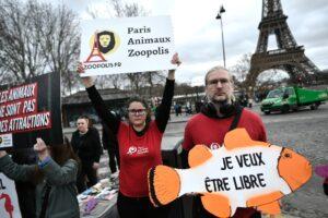 Danser avec les poissons: le Réveillon de l’Aquarium de Paris dans le collimateur d’une association