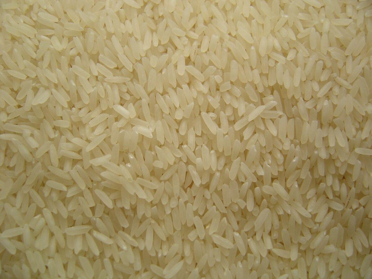 Rappel produit : un riz basmati susceptible de contenir des larves