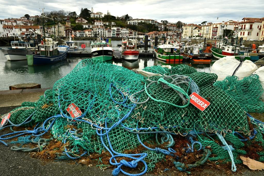 Golfe de Gascogne: interdiction de pêche inédite pour protéger les dauphins