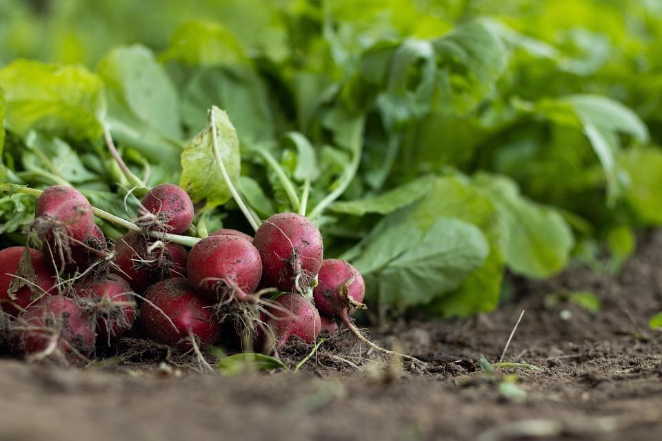 Les agriculteurs bloquent l’A64 près de Toulouse et demandent des réponses à de nombreuses revendications