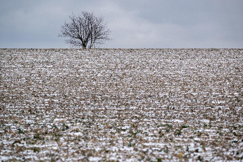 Grand froid sur une partie de la France, rallonge pour l’hébergement d’urgence