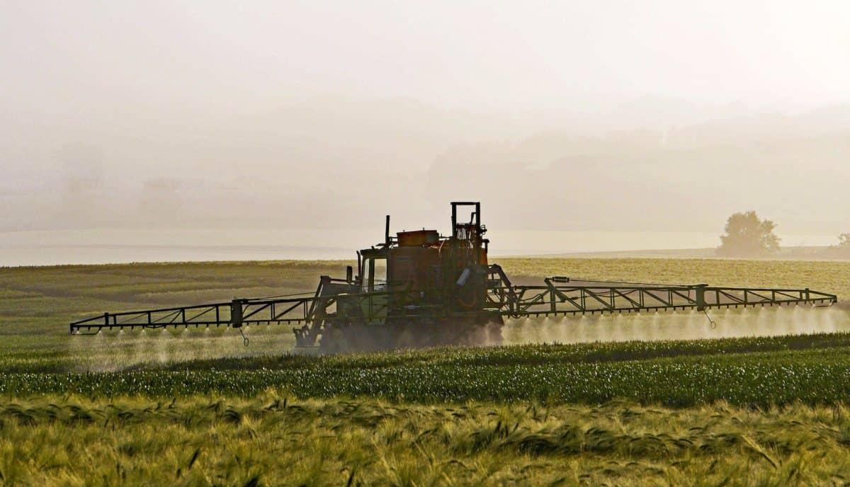 Pesticides : l’ONG ‘Générations futures’ souhaite élargir les zones de non-traitement en France