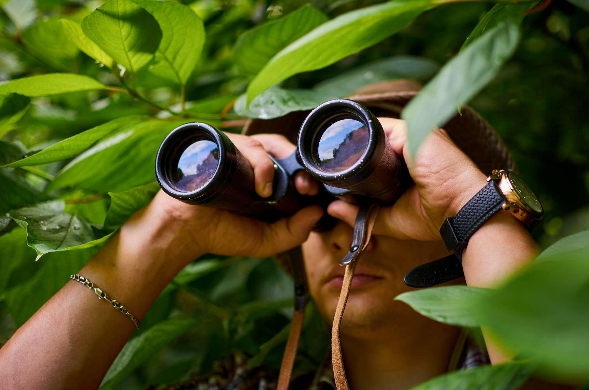 Observation des oiseaux : comment bien choisir ses jumelles ?