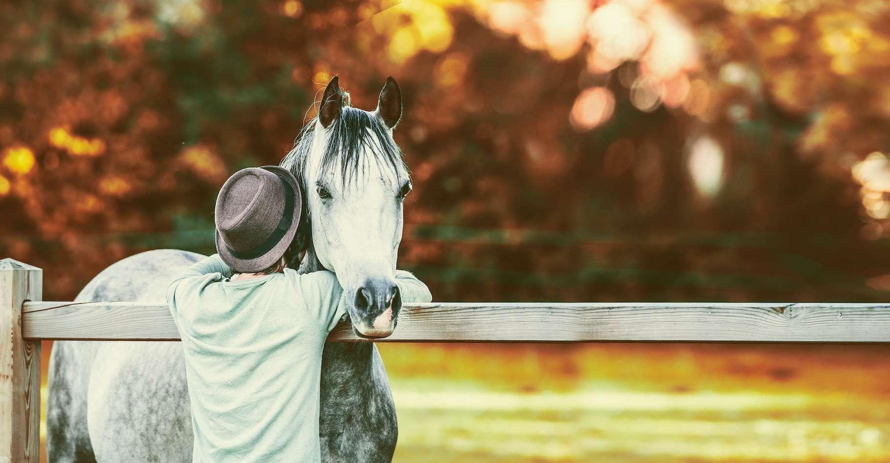 Le cheval sait lire les émotions et reconnaît votre voix