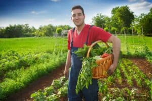 Agriculture biologique : top 3 des régions françaises les plus bio