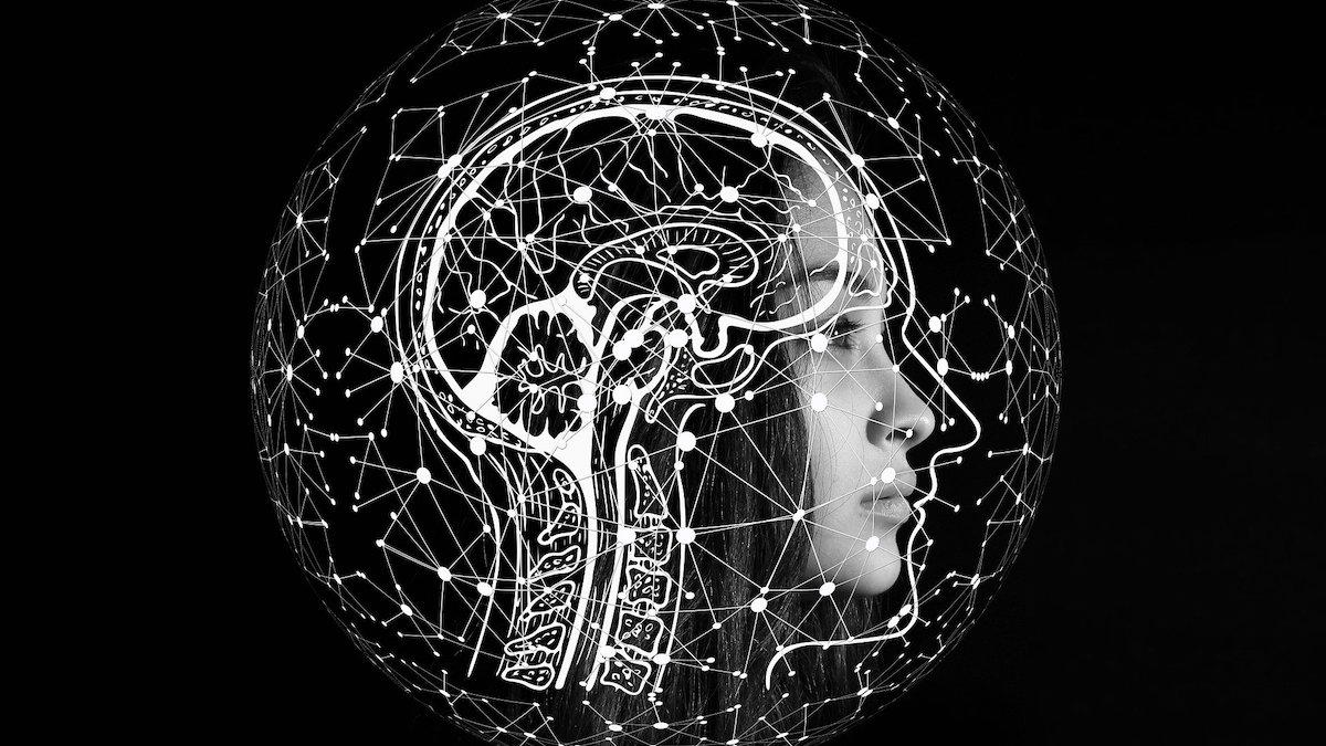 Le cerveau humain est-il vraiment l’objet le plus complexe de l’univers?